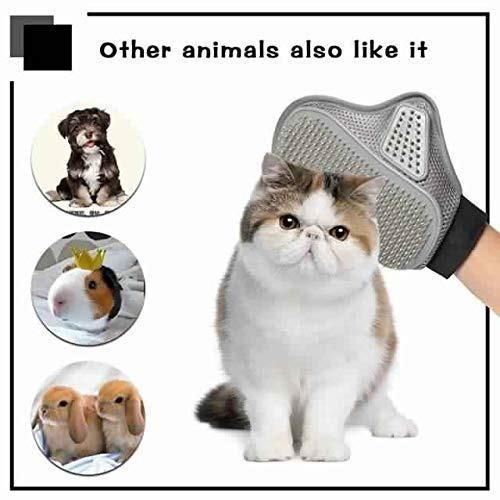 Stainless Steel Pet Grooming Glove – Gentle Deshedding Brush for Dogs & Cats (1 Pair)