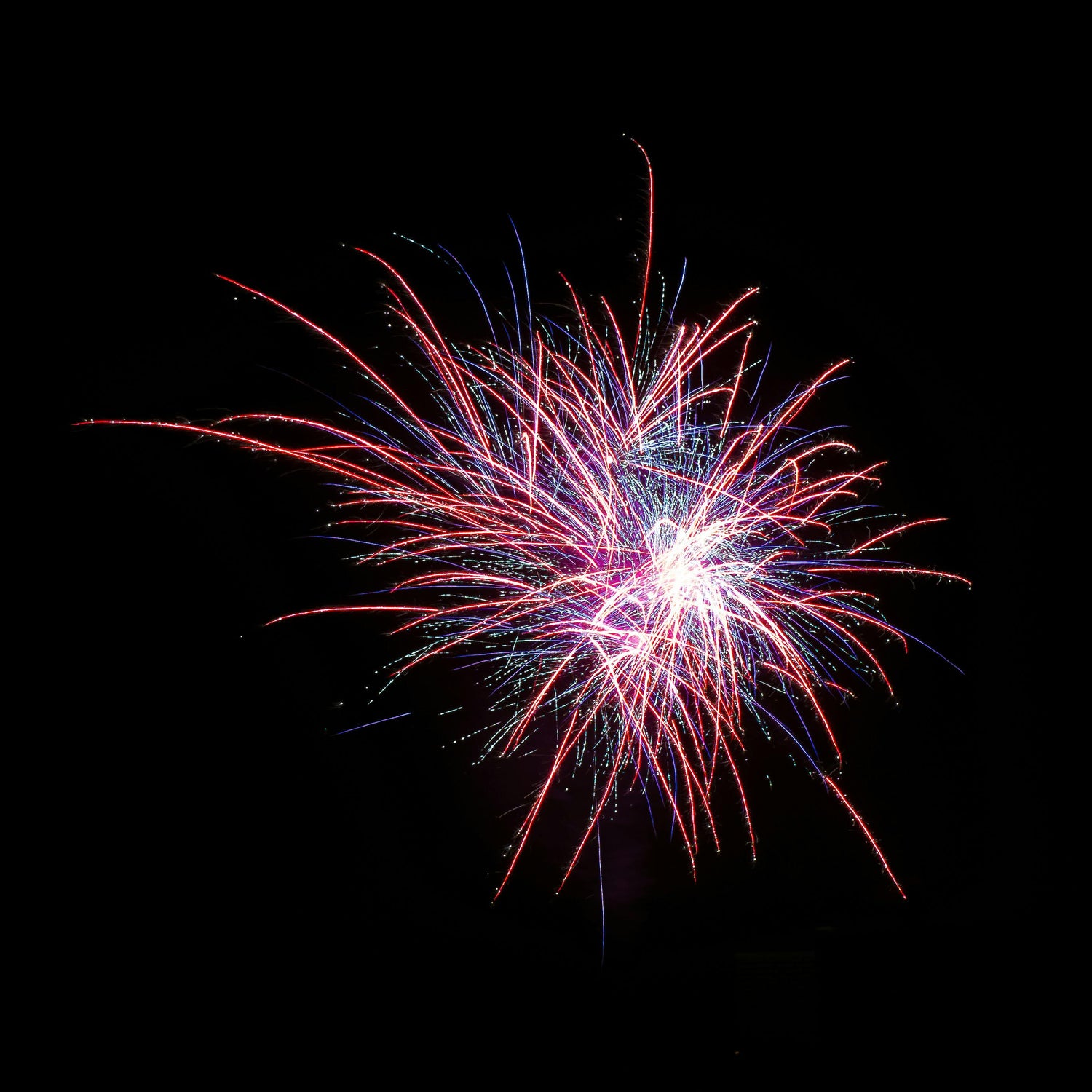Diwali Delights